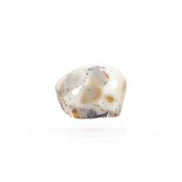 Dendritic Agate Nodule Face Polish 3"