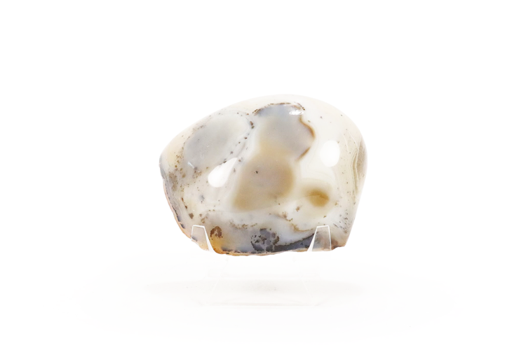 Dendritic Agate Nodule Face Polish 3"