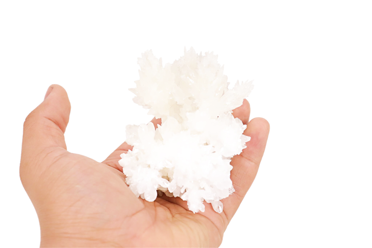 Mexican Aragonite 3"