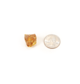 Baltic Amber Raw 2.1-3g