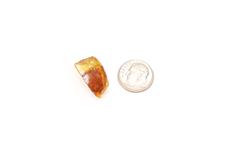 Baltic Amber Raw ~1g