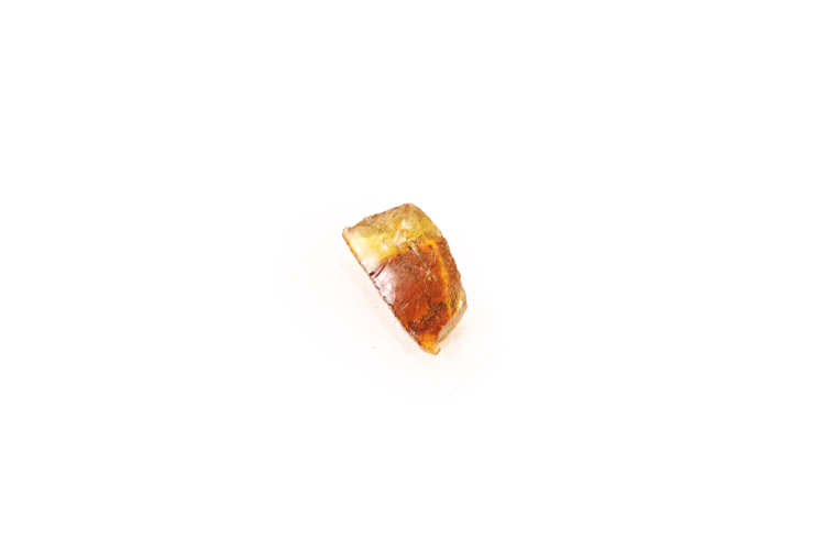 Baltic Amber Raw ~1g