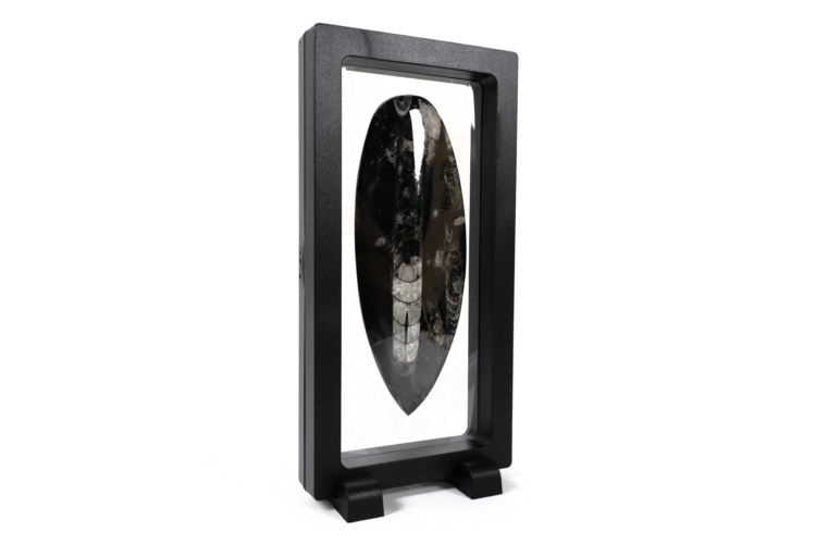 Floating Frame White 7" x 3.5" x .75"