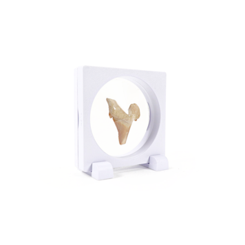 Floating Frame White 3.5" x 3.5" x.75"
