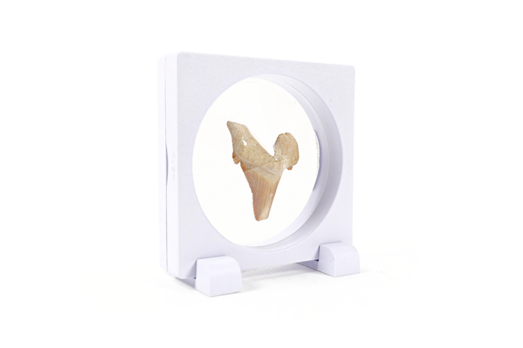 Floating Frame White 3.5" x 3.5" x.75"