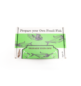 Prepare Your Own Fossil Fish Kit