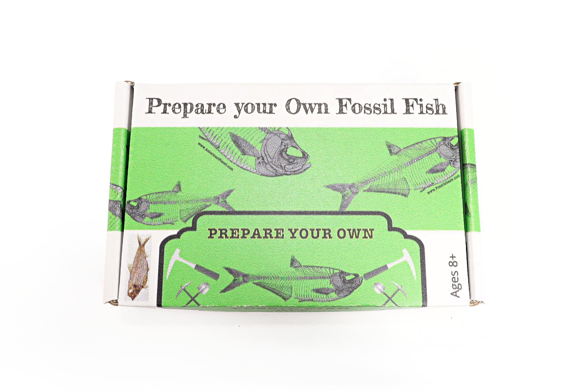 Prepare Your Own Fossil Fish Kit - Mama's Minerals