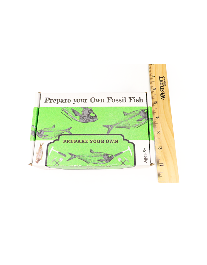 Prepare Your Own Fossil Fish Kit