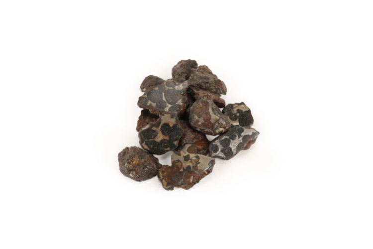 Pallasite Meteorite Half Polished 5.1-6g