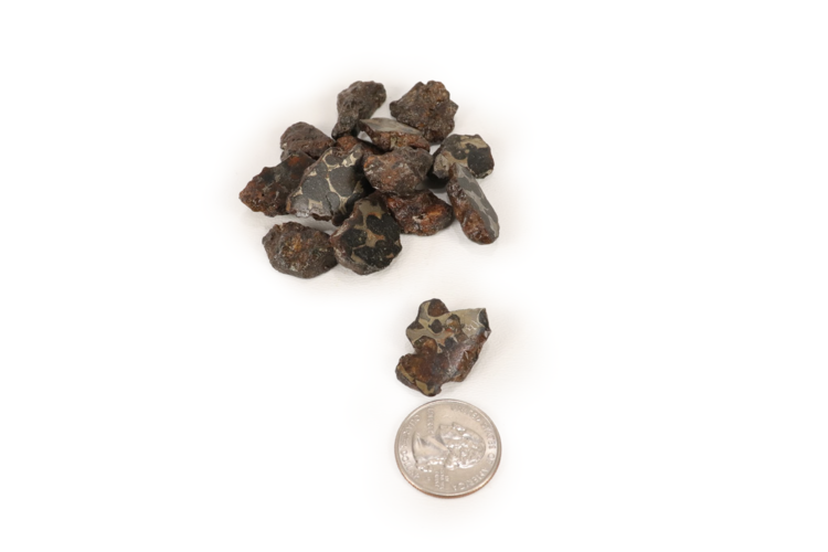Pallasite Meteorite Half Polished 5.1-6g