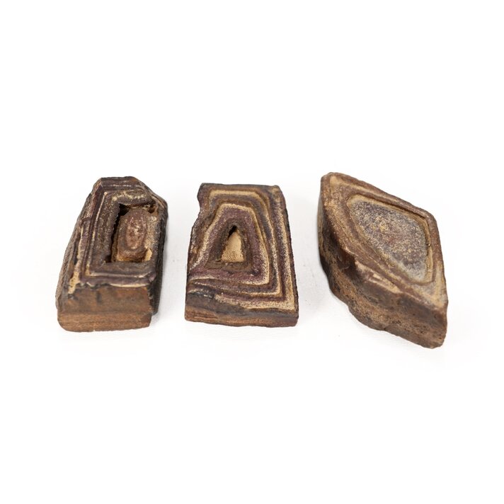 Zig Zag Oyster - Mama's Minerals