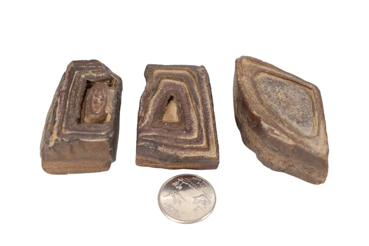 Stromatolite Morocco