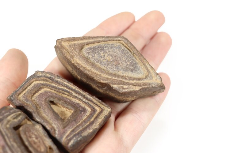 Stromatolite Morocco