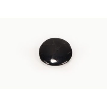 Shungite Fidget ~20g