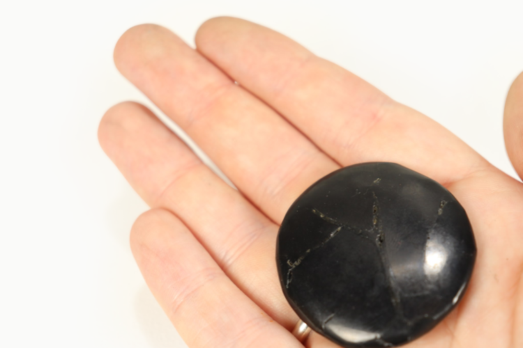 Shungite Fidget ~20g
