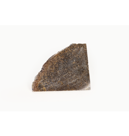 Dinosaur Bone Slice Morocco 5-10cm