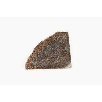 Dinosaur Bone Slice Morocco 5-10cm