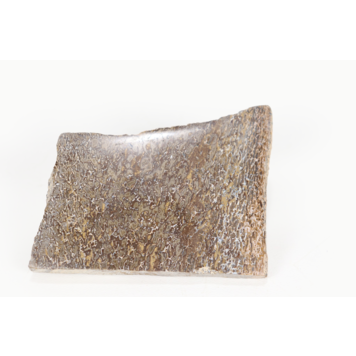 Dinosaur Bone Slice Morocco 10-15cm