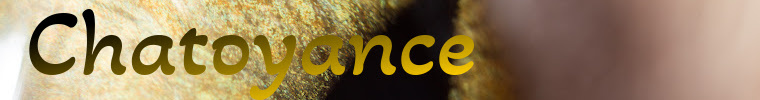 Chatoyant Minerals