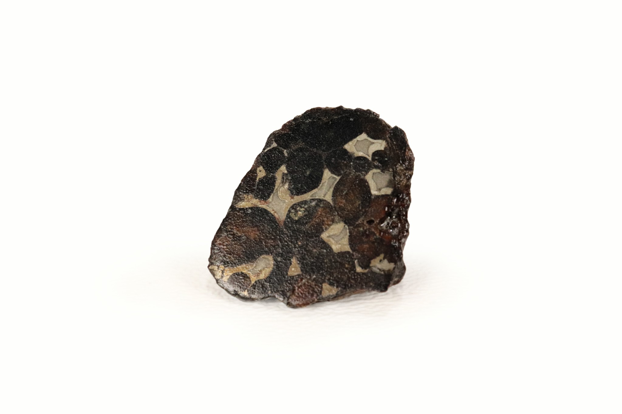 Pallasite meteorite