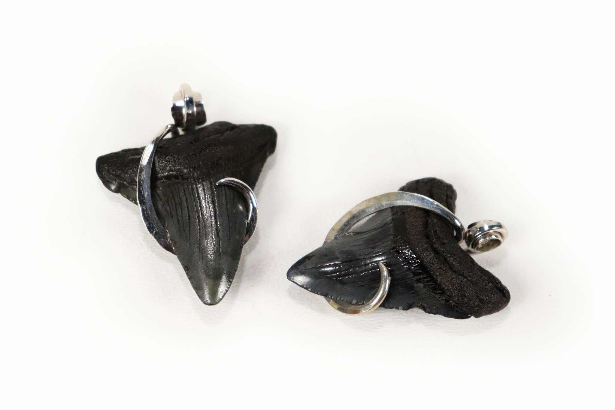 Sharks Teeth Pendants