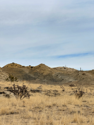 White Ridge Bike Trail