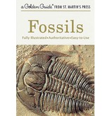 Golden Guide Fossils