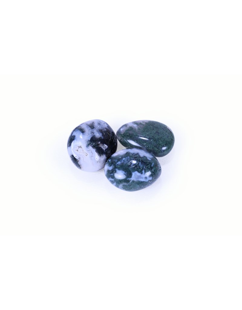 Moss Agate Tumbled 11-25g