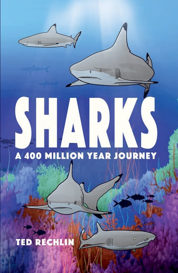 Sharks A 400 Million Year Journey