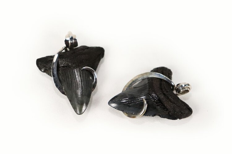 Megalodon Shark Tooth Pendant