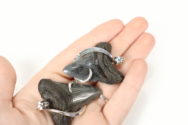 Megalodon Shark Tooth Pendant