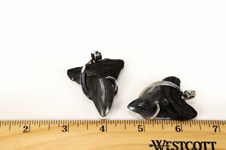 Megalodon Shark Tooth Pendant