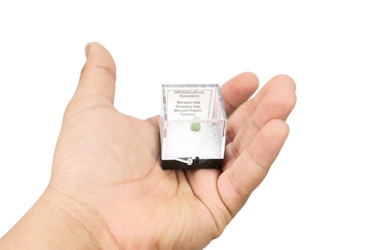 Grossular Garnet var. Tsavorite Thumbnail Box