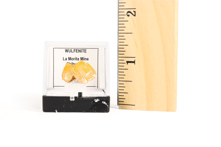 Wulfenite Thumbnail Box