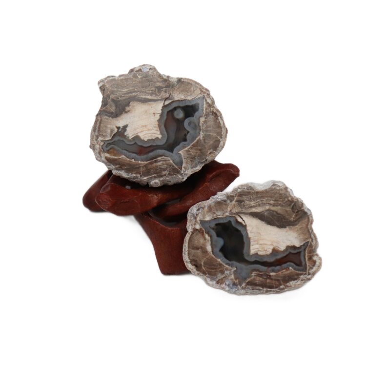 Baker Ranch Agate Mine Thunder Egg  Pair 25