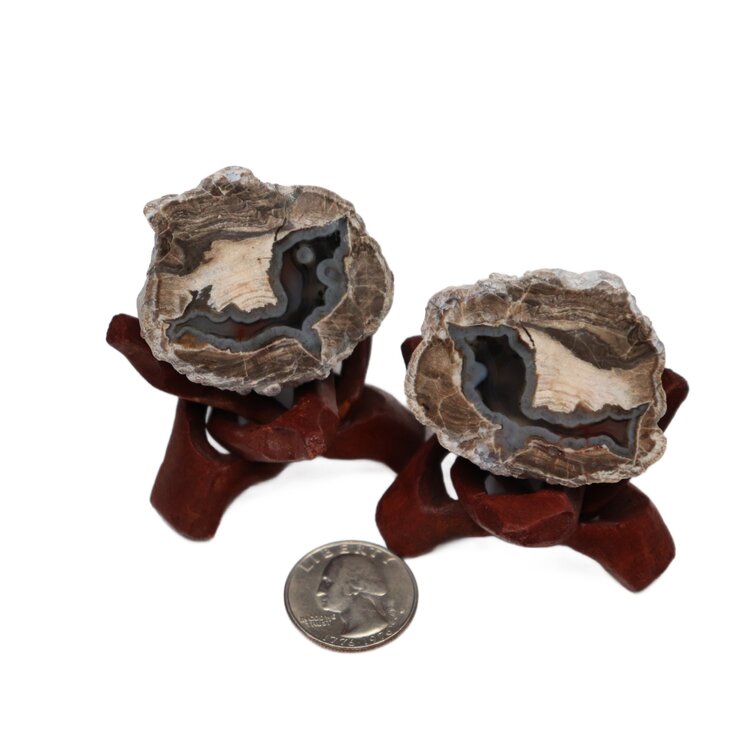 Baker Ranch Agate Mine Thunder Egg  Pair 25
