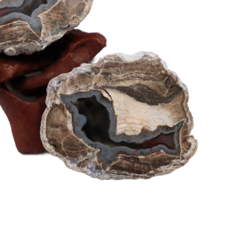 Baker Ranch Agate Mine Thunder Egg  Pair 25