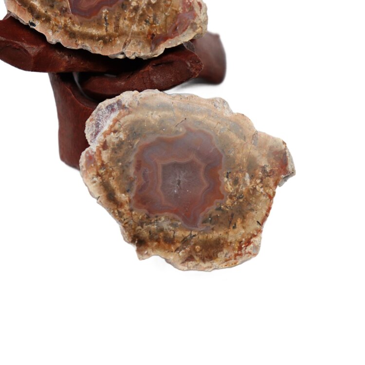 Red Hot Thunder Egg Pair - Mexico 25