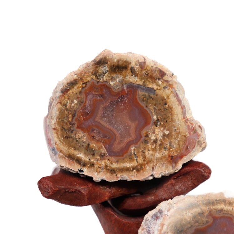 Red Hot Thunder Egg Pair - Mexico 25