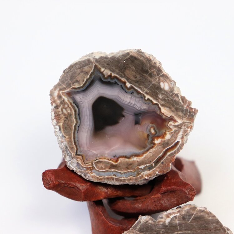 Baker Ranch Agate Mine Thunder Egg Half