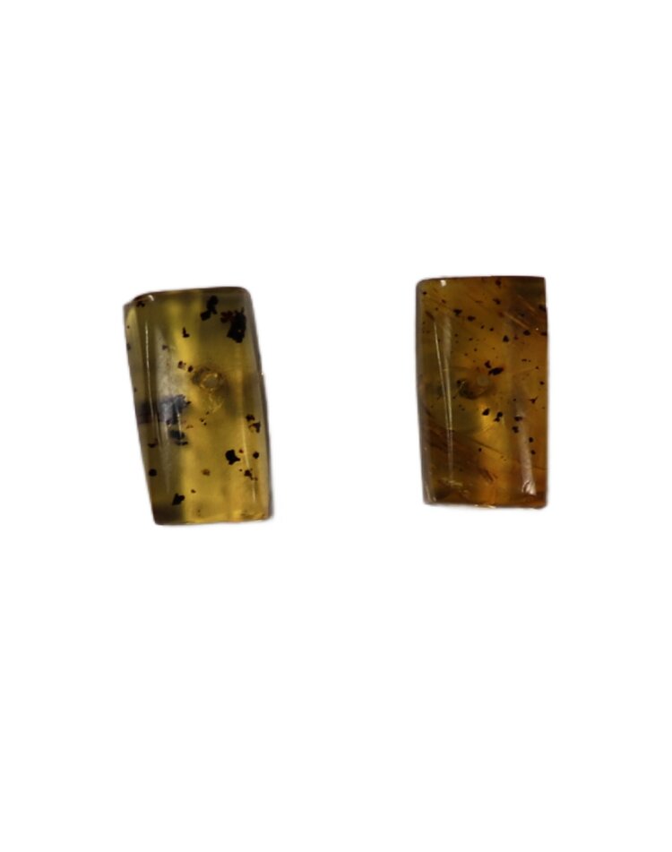 Amber Fetish Earrings
