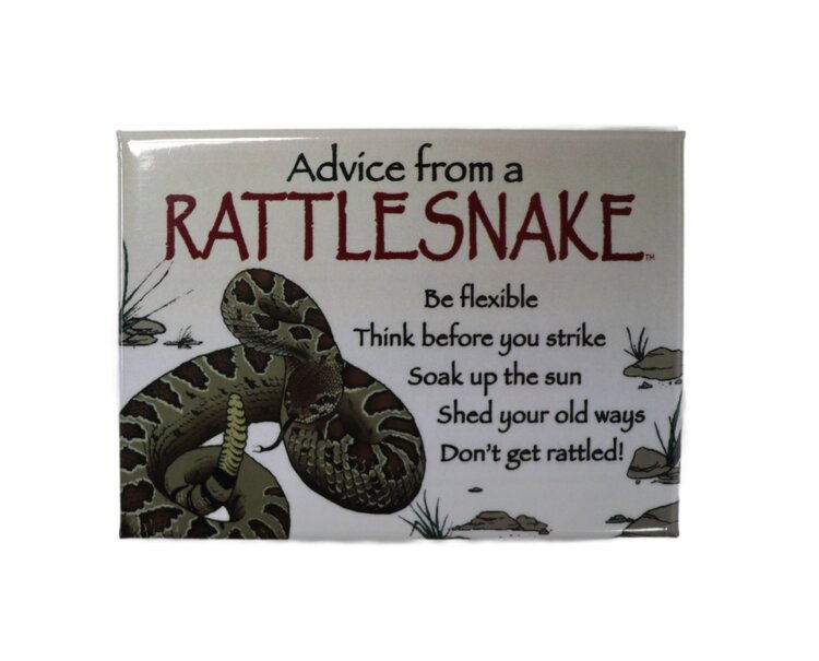 Advice from an Animal Magnet