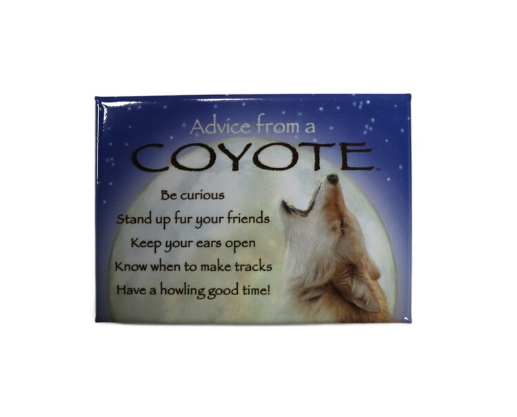 Advice from an Animal Magnet