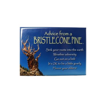 Advice from a Plant Magnet