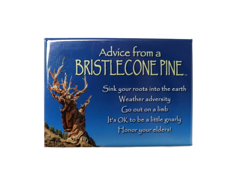 Advice from a Plant Magnet