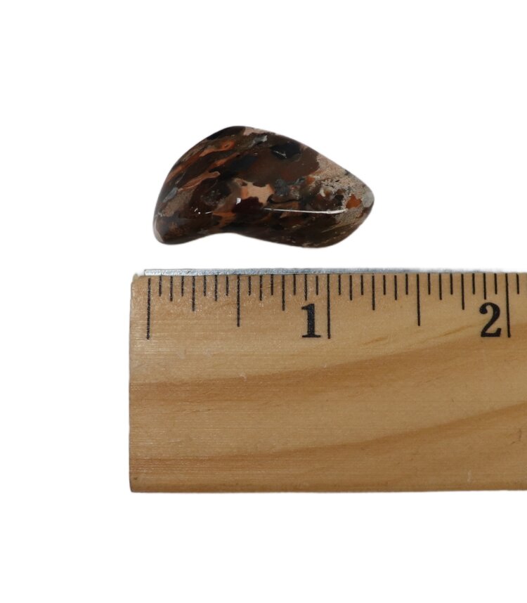 Brecciated Jasper Tumbled Brazil- Medium