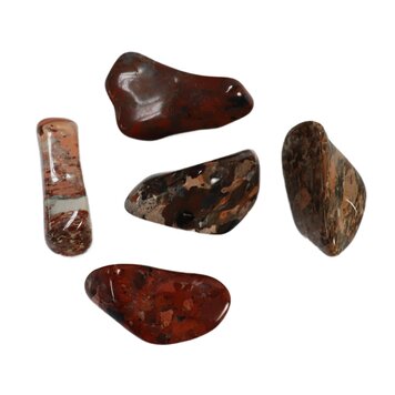 Brecciated Jasper Tumbled Brazil- Medium
