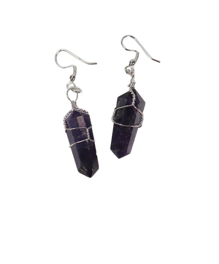 Double Terminated Point Wire Wrapped Earrings