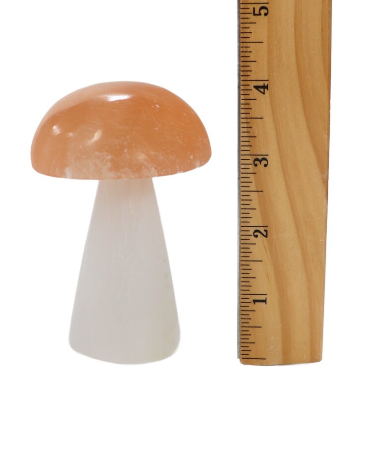 Orange & White Selenite Mushroom