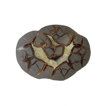 Septarian Nodule Slice Utah 4-5"